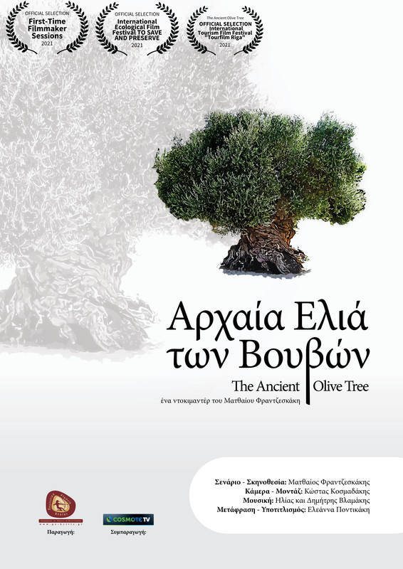 The Ancient Olive Tree